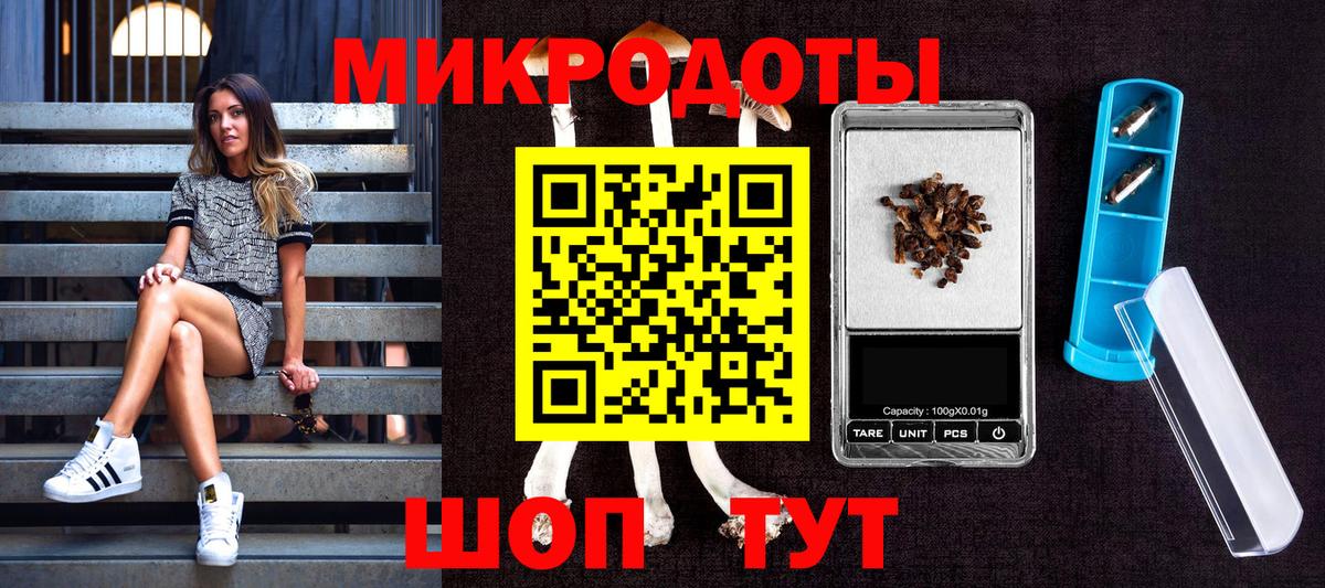 Галлюциногенные грибы Cubensis  Вход с VPN  хочу   Россия 